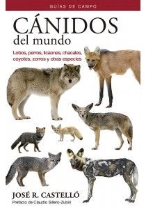 libreriasinopsis1127487