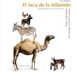 libreriasinopsis1174571