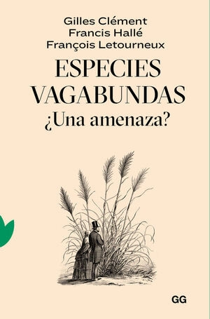 libreriasinopsis1288833