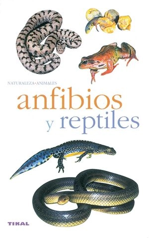 libreriasinopsis1313344