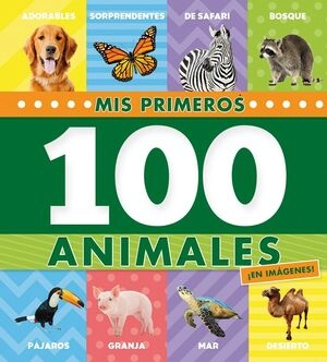libreriasinopsis1495207