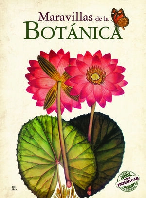 libreriasinopsis1604683