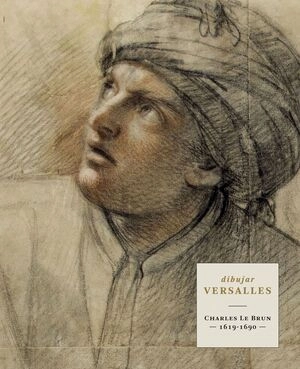 libreriasinopsis1605603
