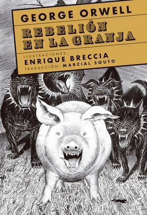libreriasinopsis2036965