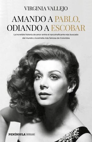 libreriasinopsis204060