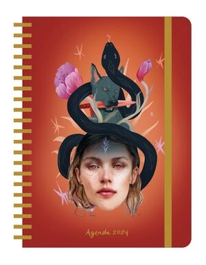 libreriasinopsis2078728