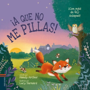 libreriasinopsis2081306