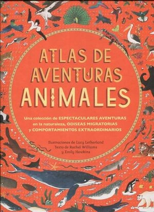 libreriasinopsis215956