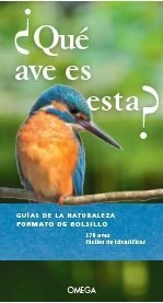 libreriasinopsis624194