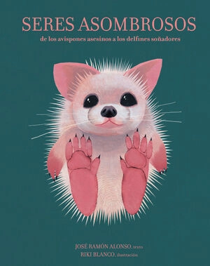 libreriasinopsis64015